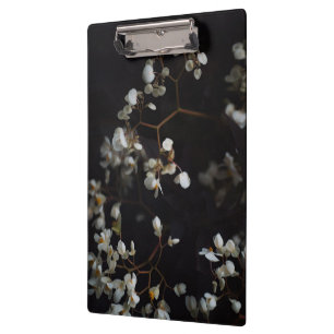 White moody flowers on dark background clipboard