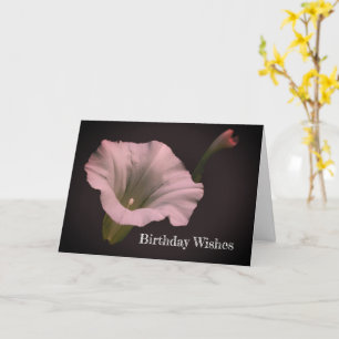 White Morning Glory Flower Birthday Card