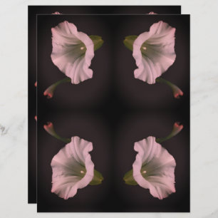 White Morning Glory Flower Scrapbook Paper