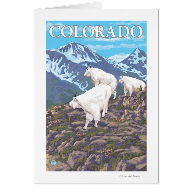 White Mountain Goat FamilyColorado (Front)