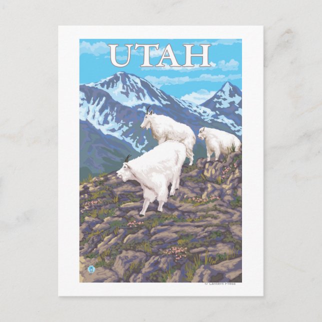 White Mountain Goat FamilyUtah Postcard (Front)