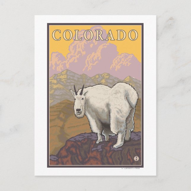 White Mountain GoatColorado Postcard (Front)