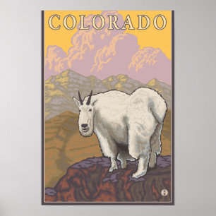 White Mountain GoatColorado Poster