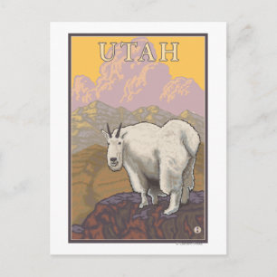 White Mountain GoatUtah Postcard