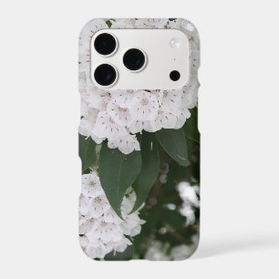 White Mountain Laurel Flowers