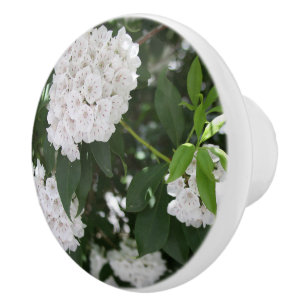 White Mountain Laurel Flowers Ceramic Knob