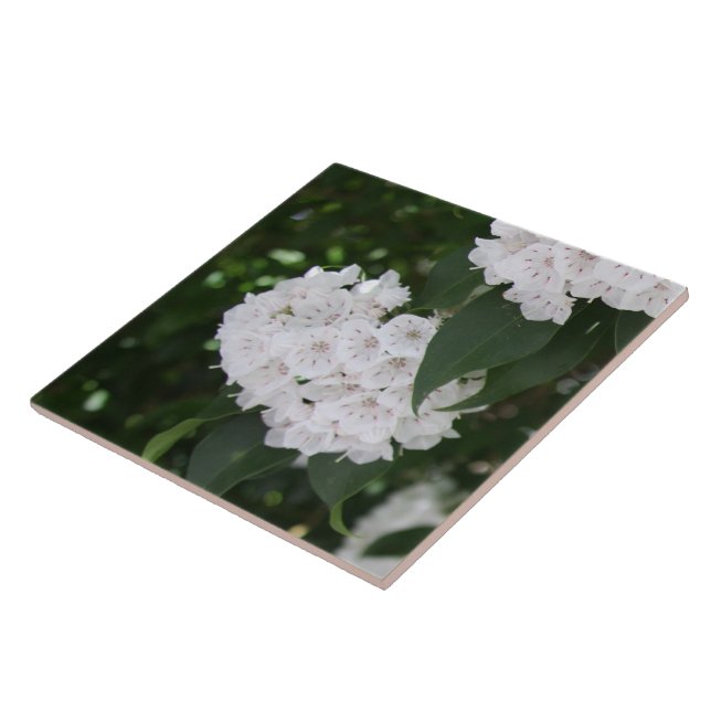White Mountain Laurel Flowers Tile (Side)