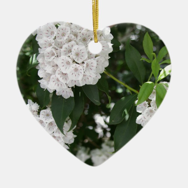 White Mountain Laurel Star Shaped Flowers Ceramic Tree Decoration (Front)
