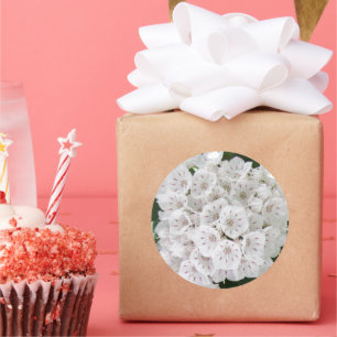 White Mountain Laurel Star Shaped Flowers Classic Round Sticker