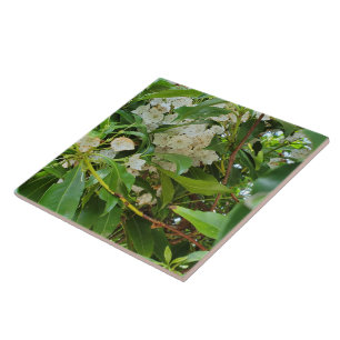 White Mountain Laurel Tile