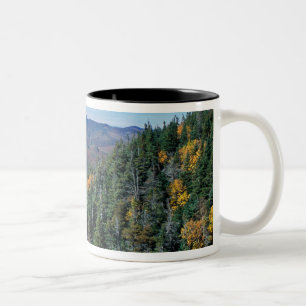 White Mountain N.F., NH. The view from near Two-Tone Coffee Mug
