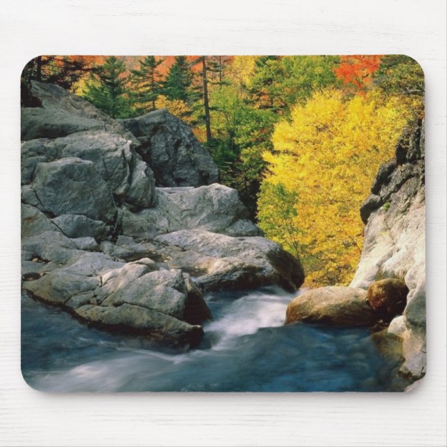 White Mountain National Forest, NH Mouse Mat (Front)