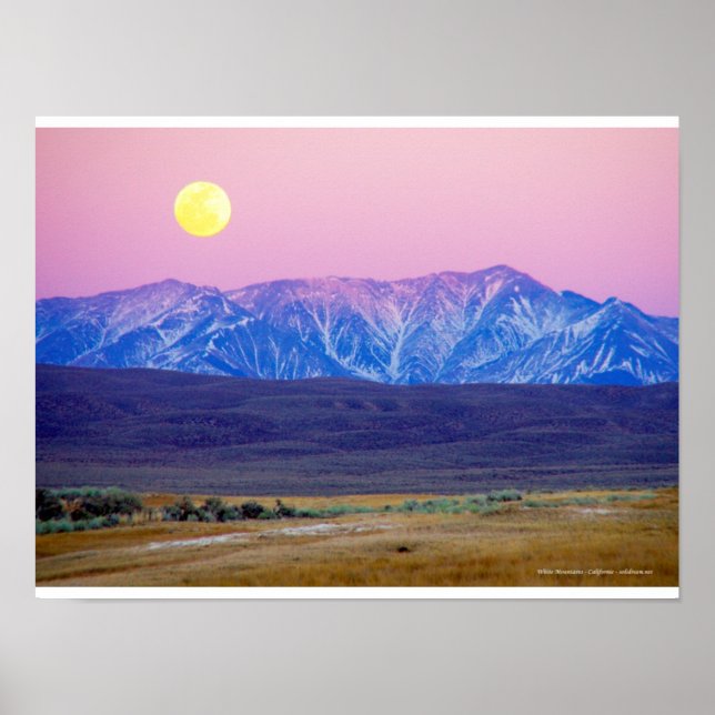 White Mountains, Californie, Etats-Unis Poster (Front)
