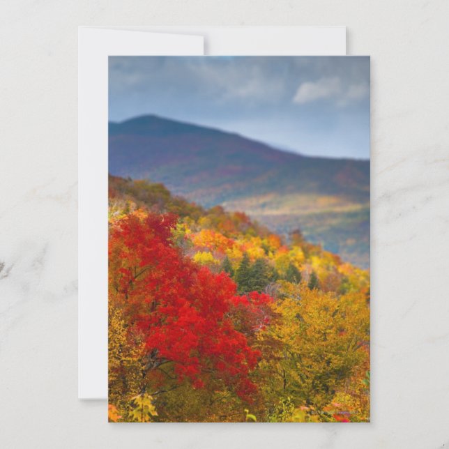 White Mountains National Forest (Front)