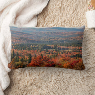 White Mountains National Forest   New Hampshire Lumbar Cushion