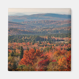 White Mountains National Forest New Hampshire Magnet
