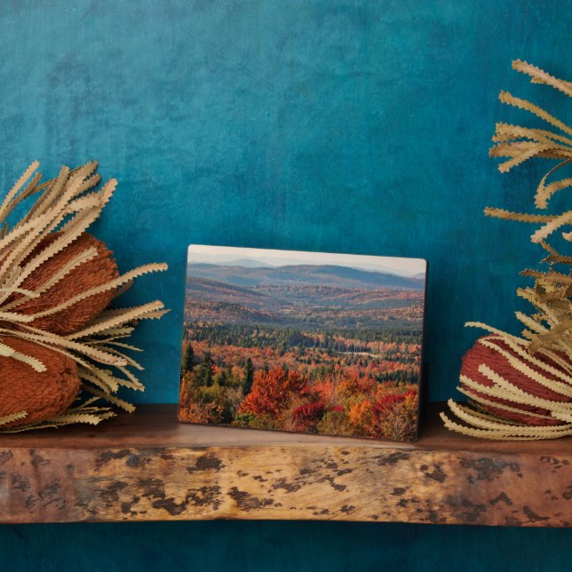 White Mountains National Forest | New Hampshire Plaque (Side)