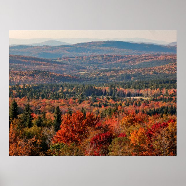 White Mountains National Forest | New Hampshire Poster (Front)