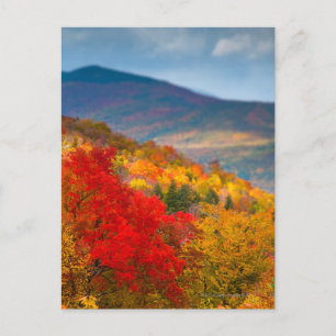 White Mountains National Forest Postcard