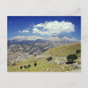 White Mountains Postcard