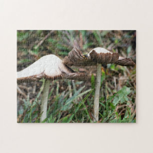 White Mushroom Pair Nature  Jigsaw Puzzle