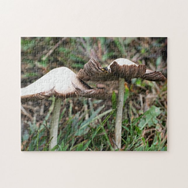 White Mushroom Pair Nature  Jigsaw Puzzle (Horizontal)
