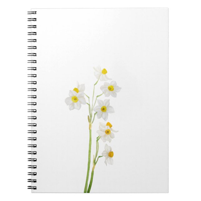 white narcissus watercolor flower notebook (Front)