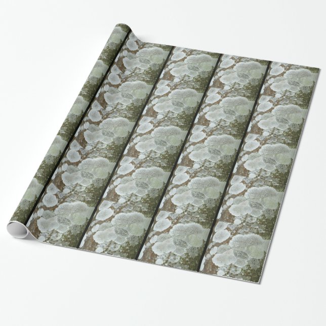 White natural pattern wrapping paper (Unrolled)