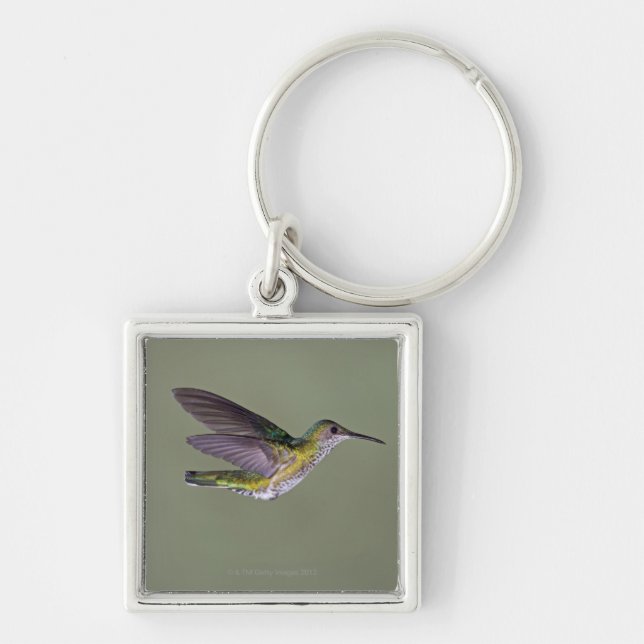 White-necked Jacobin Florisuga melivora Costa Key Ring (Front)