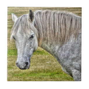 White New Forest Pony Wild Horse Tile