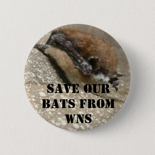 White Nose Syndrome Button