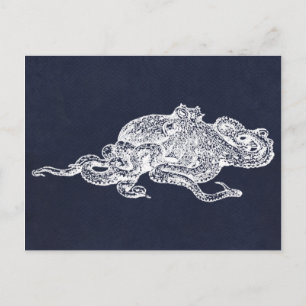 White Octopus Postcard