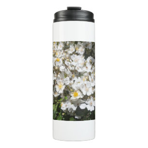 White old roses in a garden thermal tumbler