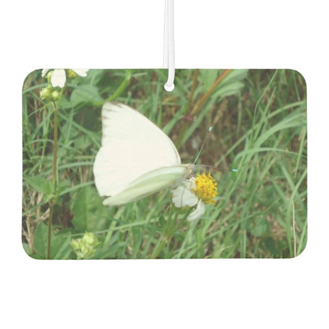 White on Green Car Air Freshener (Front)