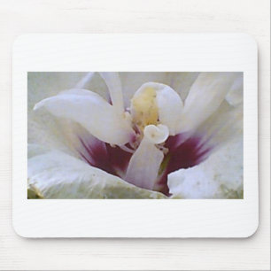White on White Rose Bloom Mouse Mat
