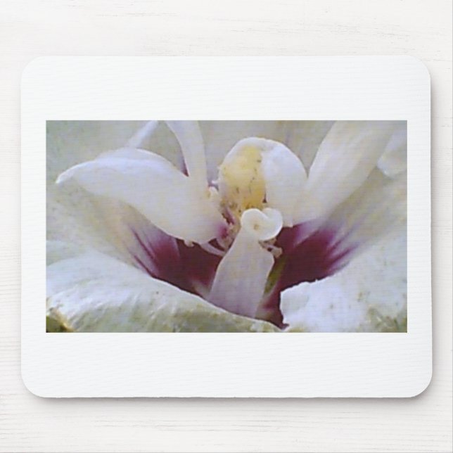 White on White Rose Bloom Mouse Mat (Front)