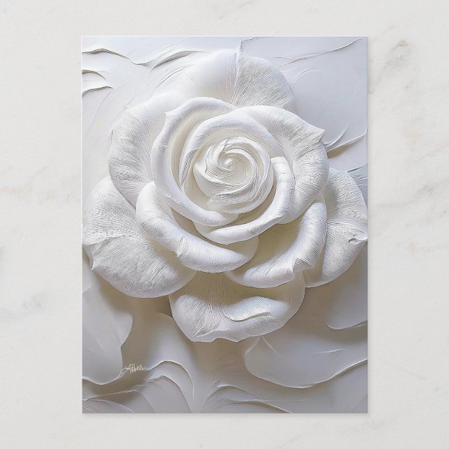 White On White - Sculpted Rose Postcard (Front)