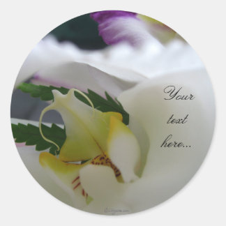 White Orchid Beauty Wedding Invitations Seals