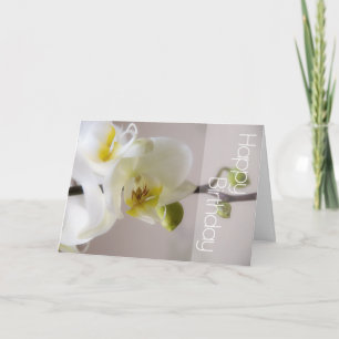 White Orchid Birthday Card