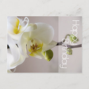 White Orchid Birthday Postcard