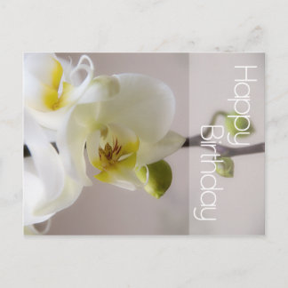 White Orchid Birthday Postcard