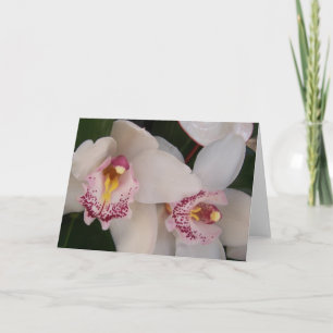 White Orchid Blank Card