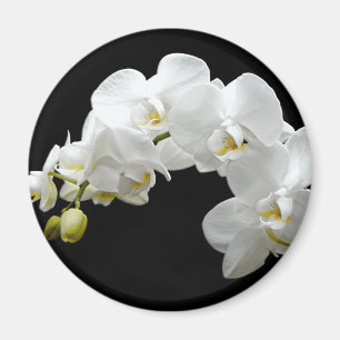 White Orchid Blossom Magnet