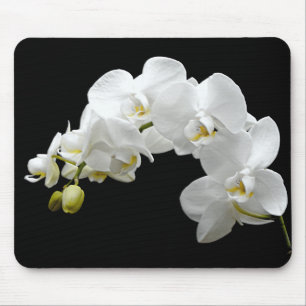 White Orchid Blossom Mouse Mat