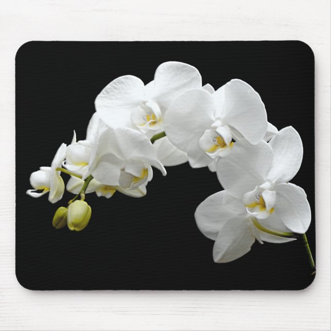 White Orchid Blossom Mouse Mat (Front)
