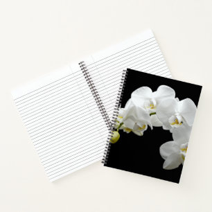 White Orchid Blossom Notebook