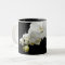 White Orchid Blossom