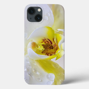 White Orchid Blossom Water Drop iPhone 13 Case