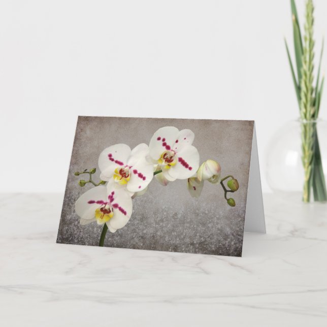 White Orchid Card (Front)