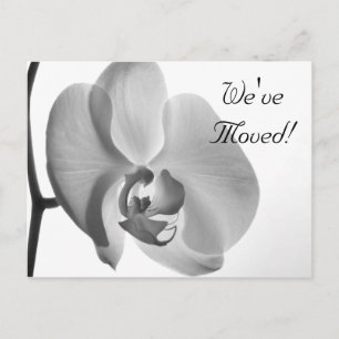 White Orchid Change of Address Announcement Postcard